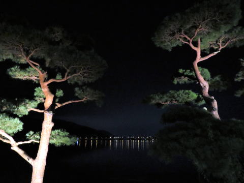 夜の河口湖