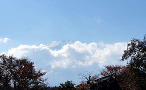 忍野の富士